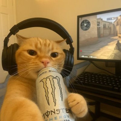Samay_004's profile picture