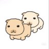 jolly meow 的头像