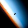 Orion's profile picture