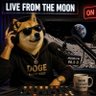 Ɖoge_Alb's profile picture