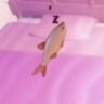 Profilbild von linklin