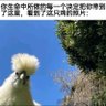 Фото профиля 沃斯尼迭