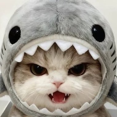 ˚ 𐙚₊ 𝐋𝐢𝐧𝐠𝐋𝐨𝐦 🐈⬛ ྀི's profile picture