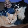 Vladimir's profile picture