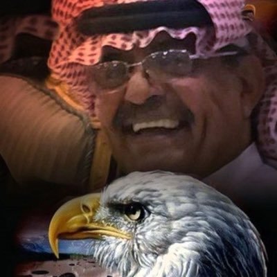 Saleh_mo10's profile picture