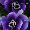 Фото профиля Maria castillo padilla