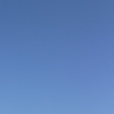 S's profile picture