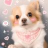 น้องปาร์ตี้ของพี่ปีเตอร์ 的头像