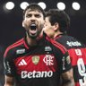 paquetop's profile picture