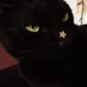 Profilbild von naxeu