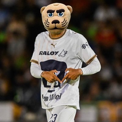 Goyito's profile picture