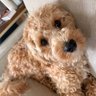FknFedUp 的头像