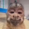 monkey kunahe's profile picture