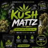 kushmatt 的头像