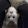Фото профиля yao