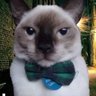 Profilbild von agora tu faz o L