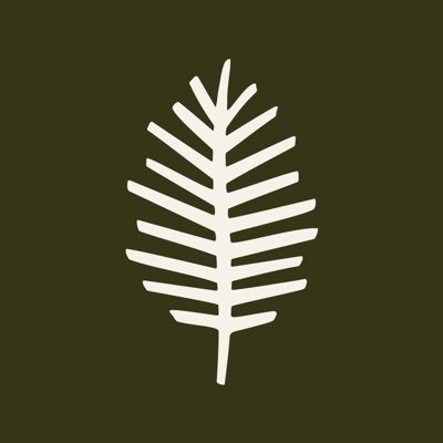 candyrootlodge's profile picture