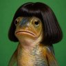 FishDicks's profile picture