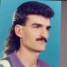 Alotov SegsHaver's profile picture