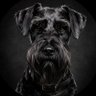 dezm0n's profile picture