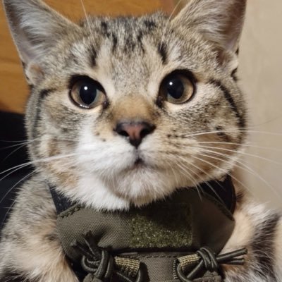 valeangelsback's profile picture