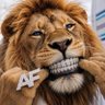 Lion Groyper profil fotoğrafı
