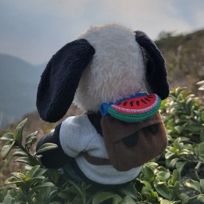 Ghuaid's profile picture