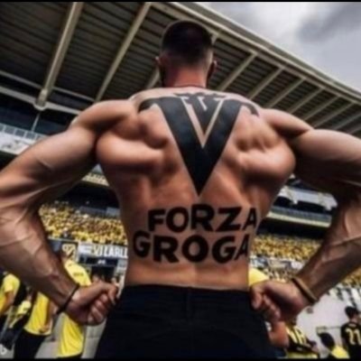 forzagroga2's profile picture