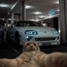 Mr. Meowfia's profile picture