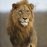 ضرغام's profile picture
