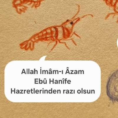 Cehm_bin_Safvan's profile picture