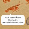 Cehm profil fotoğrafı