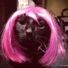 Profilbild von LaraGamer67auraINFINITA