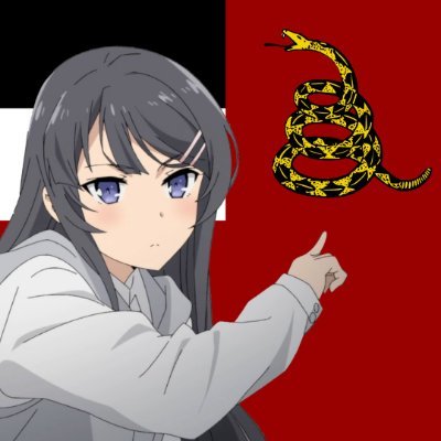 Kartveli🇪🇺's profile picture