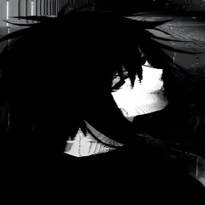 Tuni's profile picture