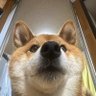 Profilbild von つか爺エンド