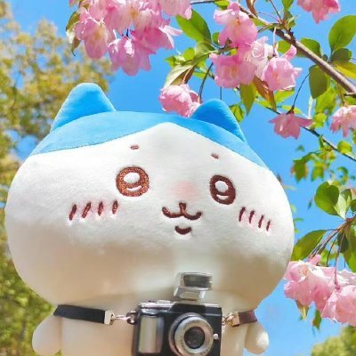 Jaxxestapillado's profile picture