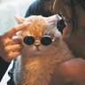 №∑⌒. profil fotoğrafı