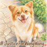 A4纸🇺🇦旺旺ワンワン's profile picture