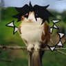 Profilbild von Kawaii