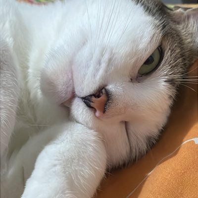 MI PRESIDENTE ES IVAN CEPEDA CASTRO🎀's profile picture