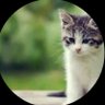 Фото профиля KittenGamer 2009