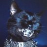 Athiez's profile picture