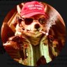FoxyMan's profile picture