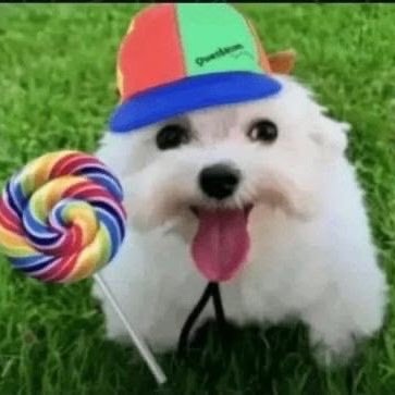 nathyblehhh's profile picture