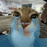Lolanoites ೀ's profile picture