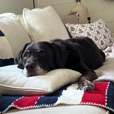 SangilloJohn's profile picture