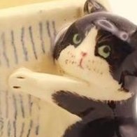 fluff_kitz's profile picture