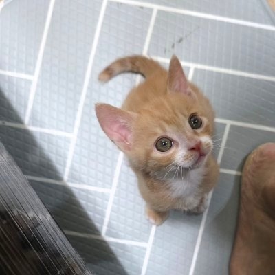 chochocho1909's profile picture