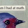 SomeAmericanSongBird's profile picture